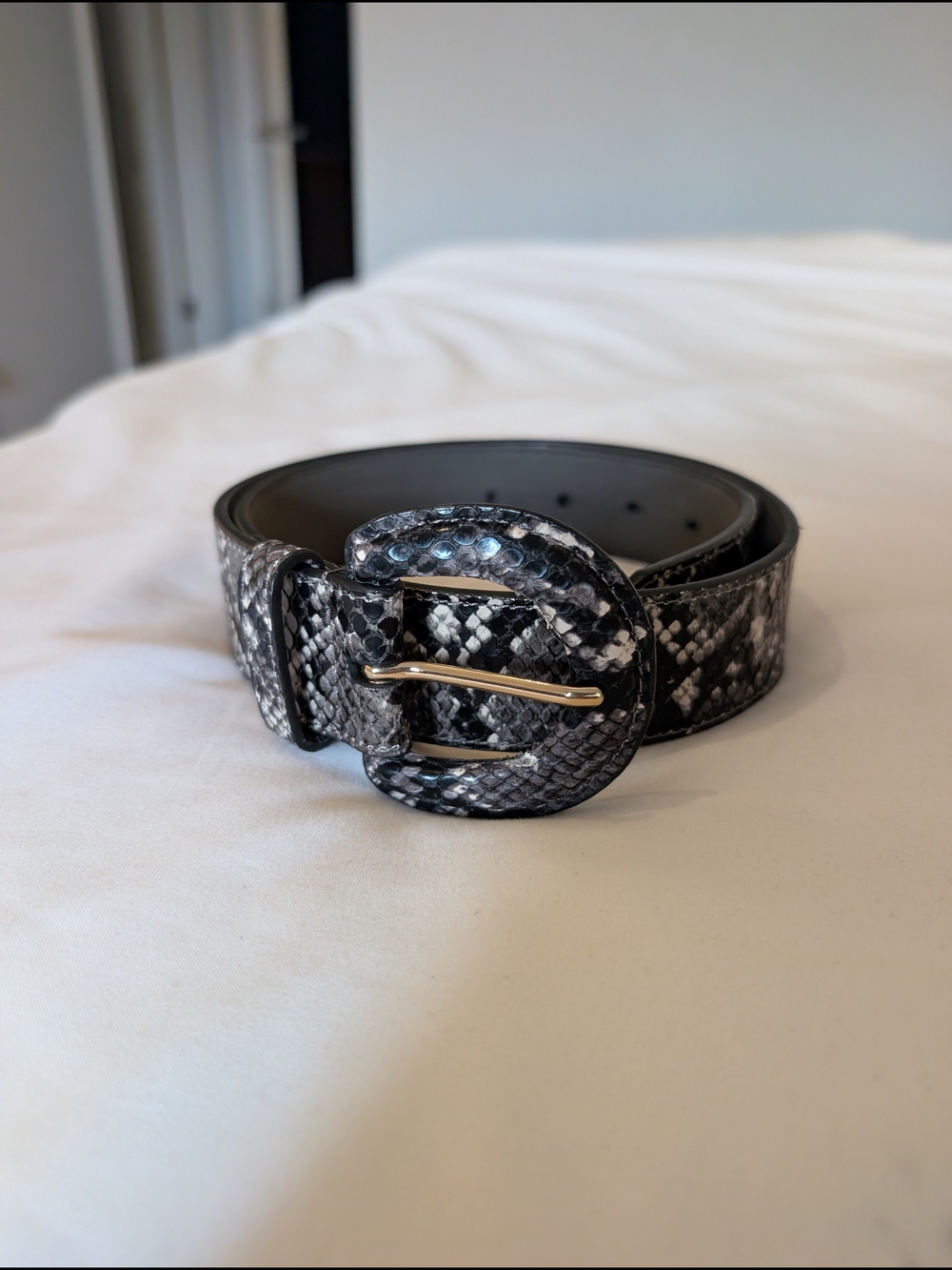 Banana Republic Snake Print Belt